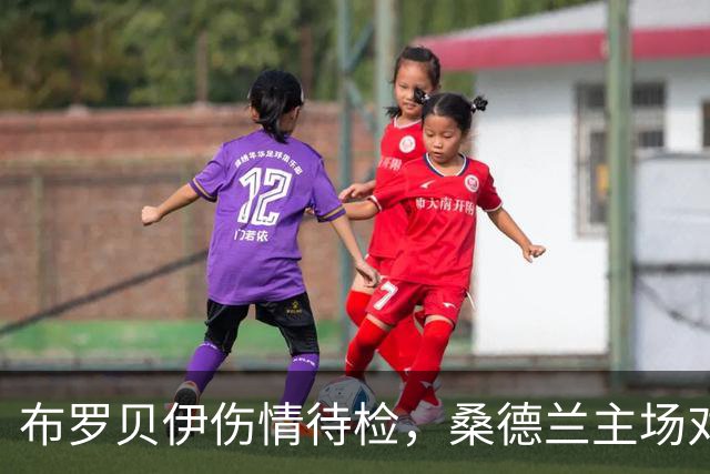 布罗贝伊伤情待检，桑德兰主场对利兹联或让他领衔锋线