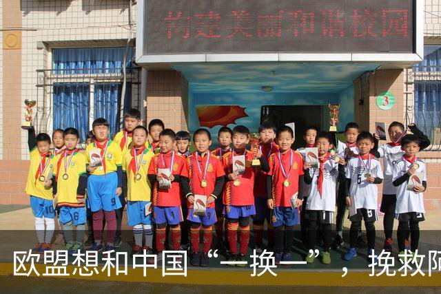 欧盟想和中国“一换一”，挽救阿斯麦企业，方案中国未必会同意