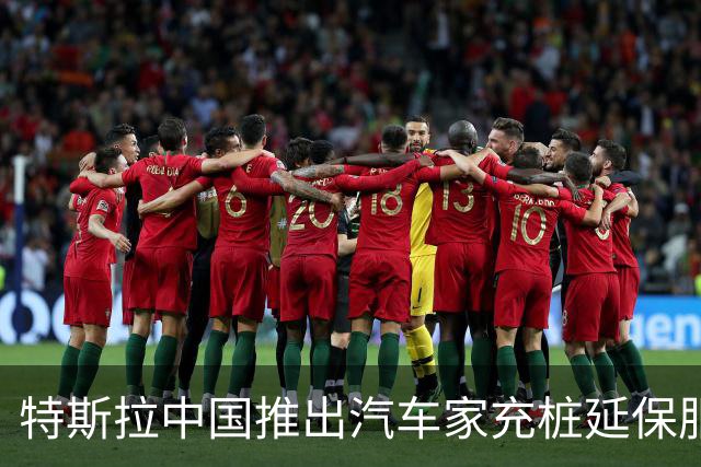 特斯拉中国推出汽车家充桩延保服务限时优惠，明年1月20日前购买延保服务最低199元