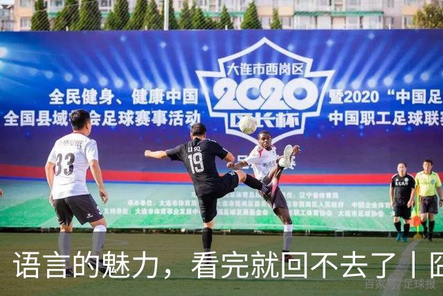 语言的魅力，看完就回不去了丨囧图集