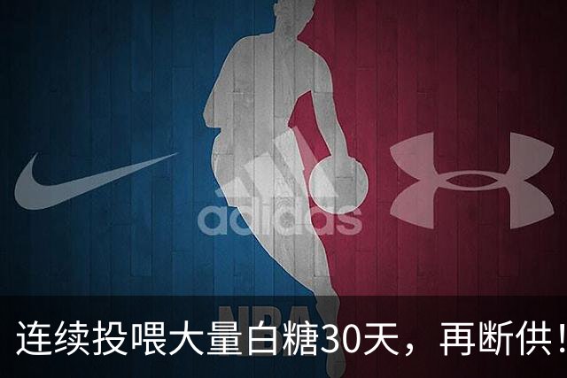 连续投喂大量白糖30天，再断供！国外网红扮“蚂蚁天神”整蛊野生蚁群