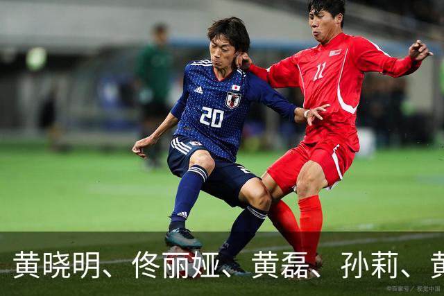 黄晓明、佟丽娅、黄磊、孙莉、黄渤、肖战、朱一龙、赵丽颖、白鹿、刘昊然、杨紫、万茜、迪丽热巴、王鹤棣等19位艺人向西藏地震灾区捐款